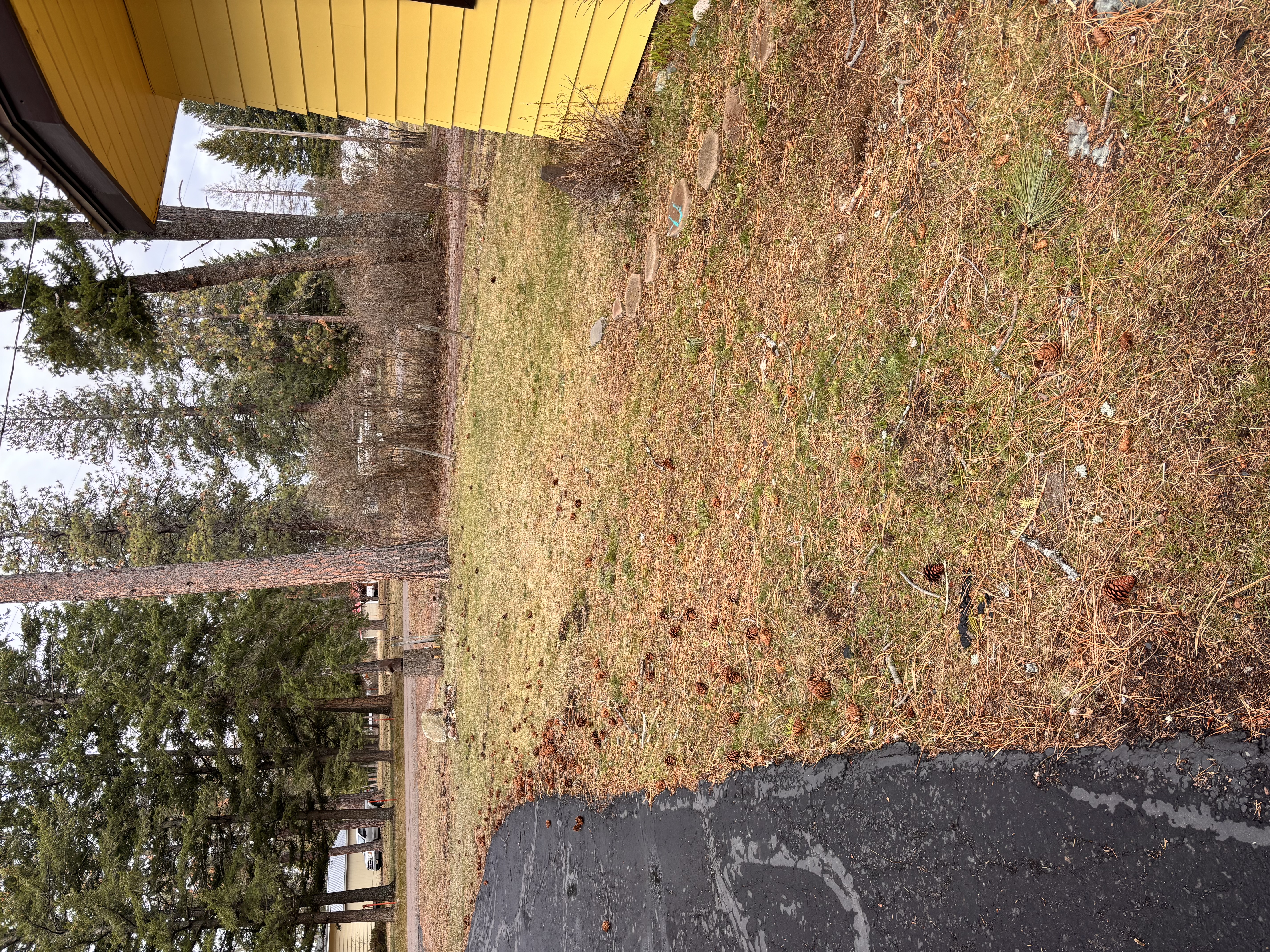 Spring cleanup before — yellow house front