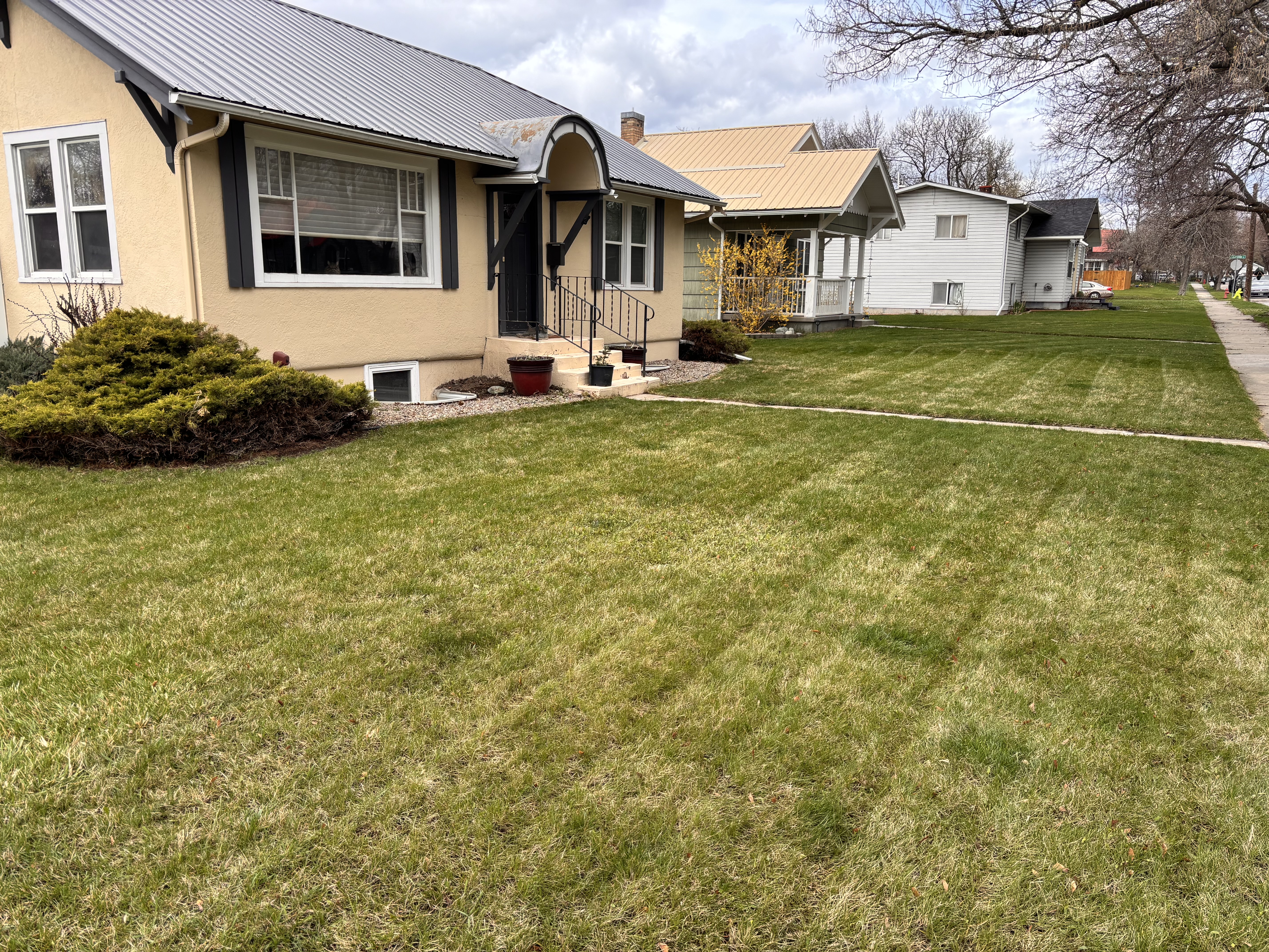 Freshly mowed and trimmed front lawn